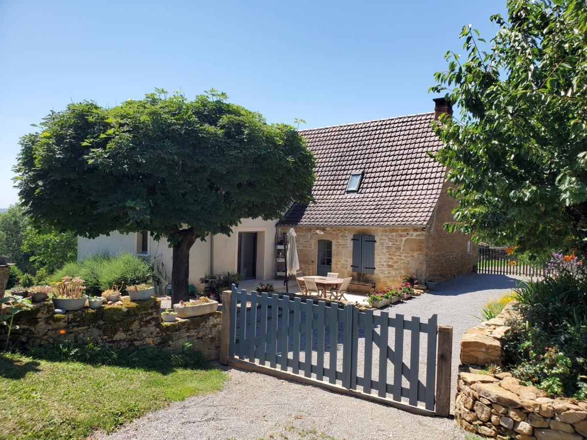 Le Pech De Vigne Villa Bio  Eksteriør billede